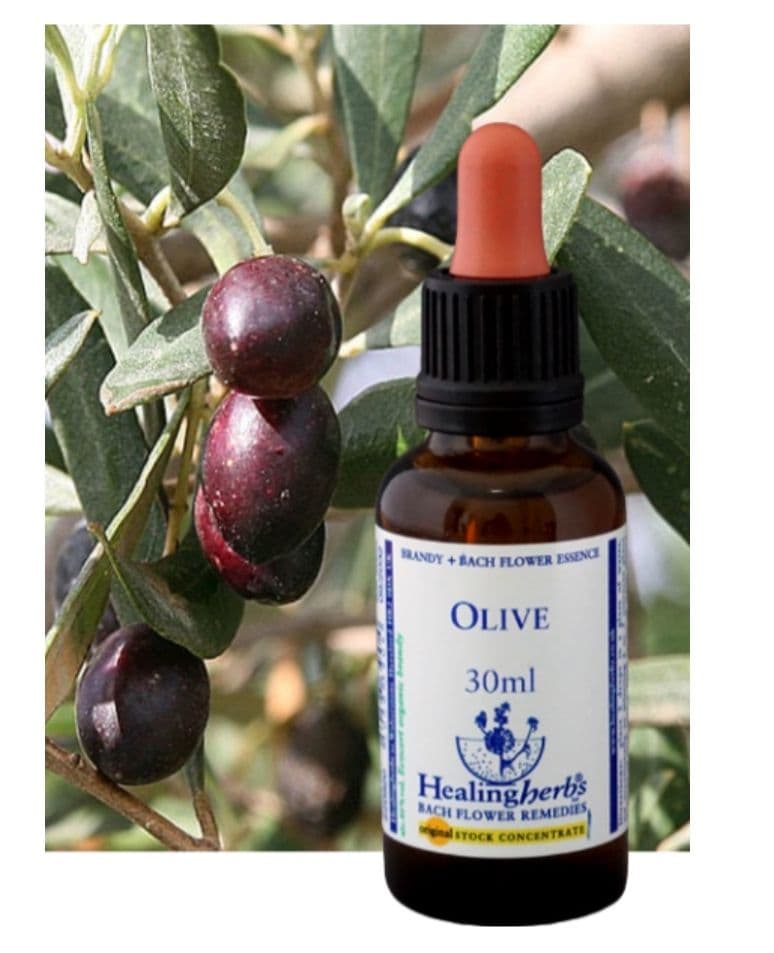 ponponette■30ml×3本ヒーリングハーブス社フラワーエッセンス