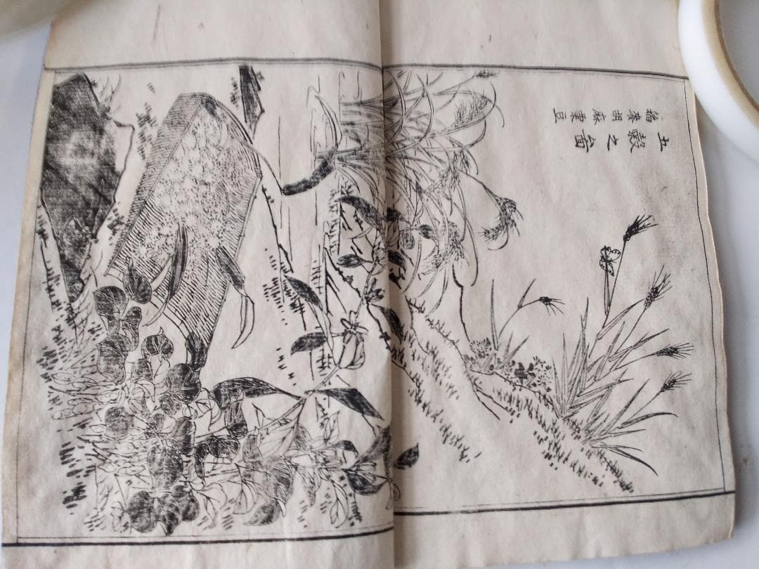 『 春山画譜 全3冊』 直江徳太郎 編輯兼著 近藤清太郎 明治15年 希少 美品