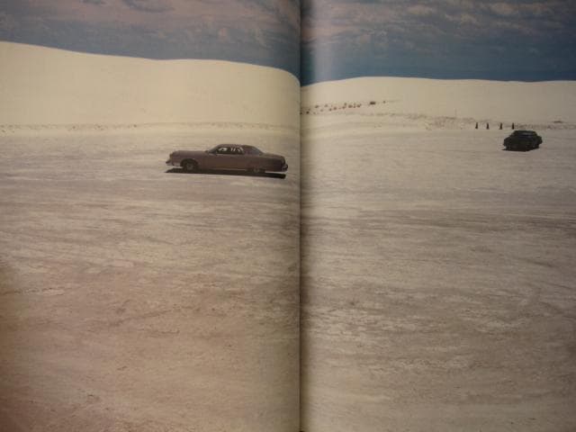 Free for All　Shingo Wakagi　若木信吾