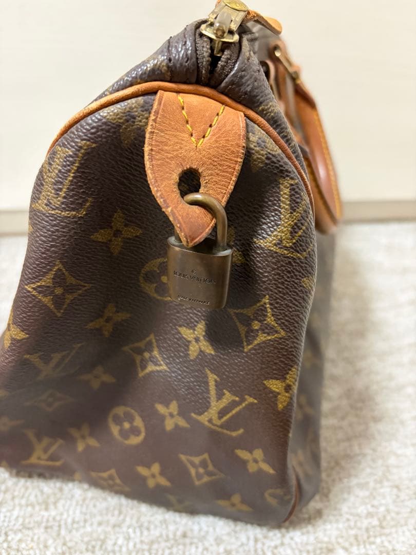 Louis Vuitton モノグラムハンドバッグ