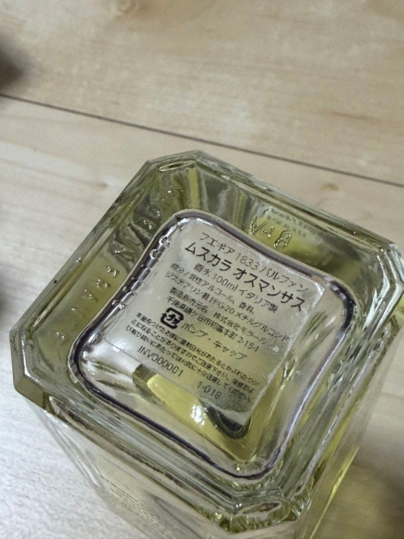 Fueguia Muskara Osmanthus フエギア ムスカラ オスマン