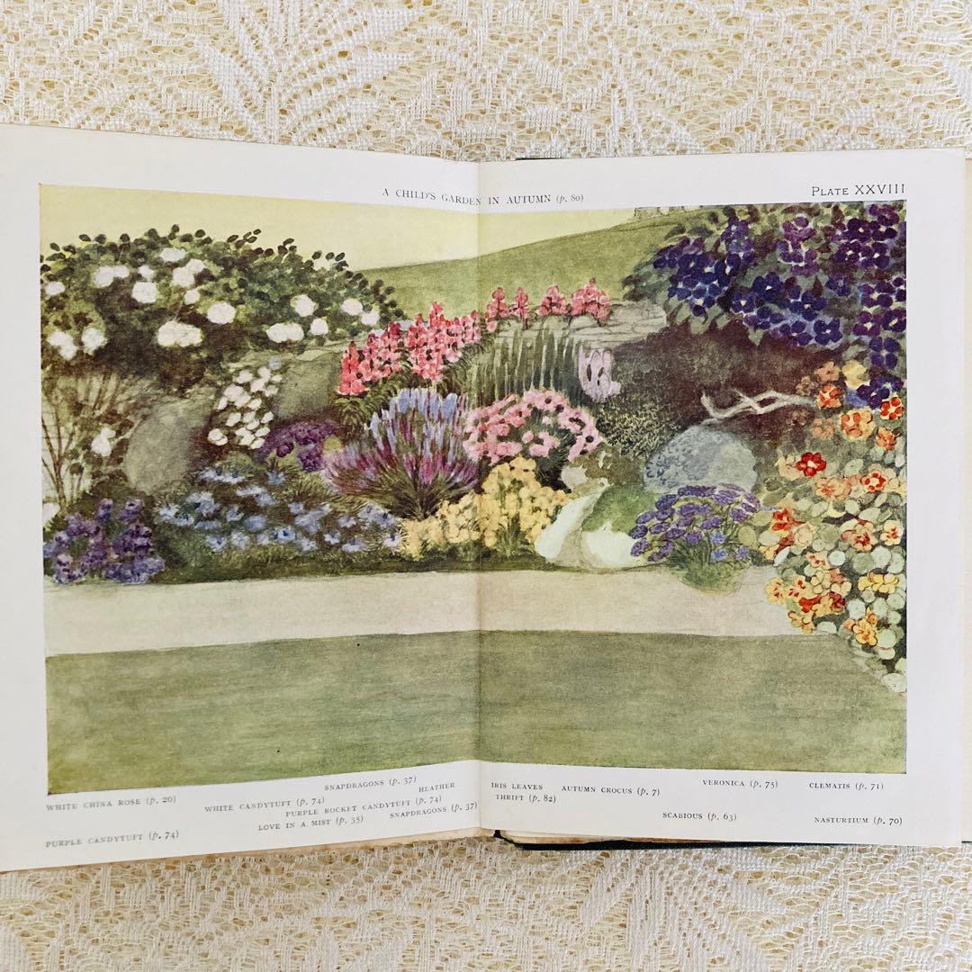 洋書　古書　希少　イギリスのアンティーク植物図鑑　色鮮やかで美しいカラー図版♡