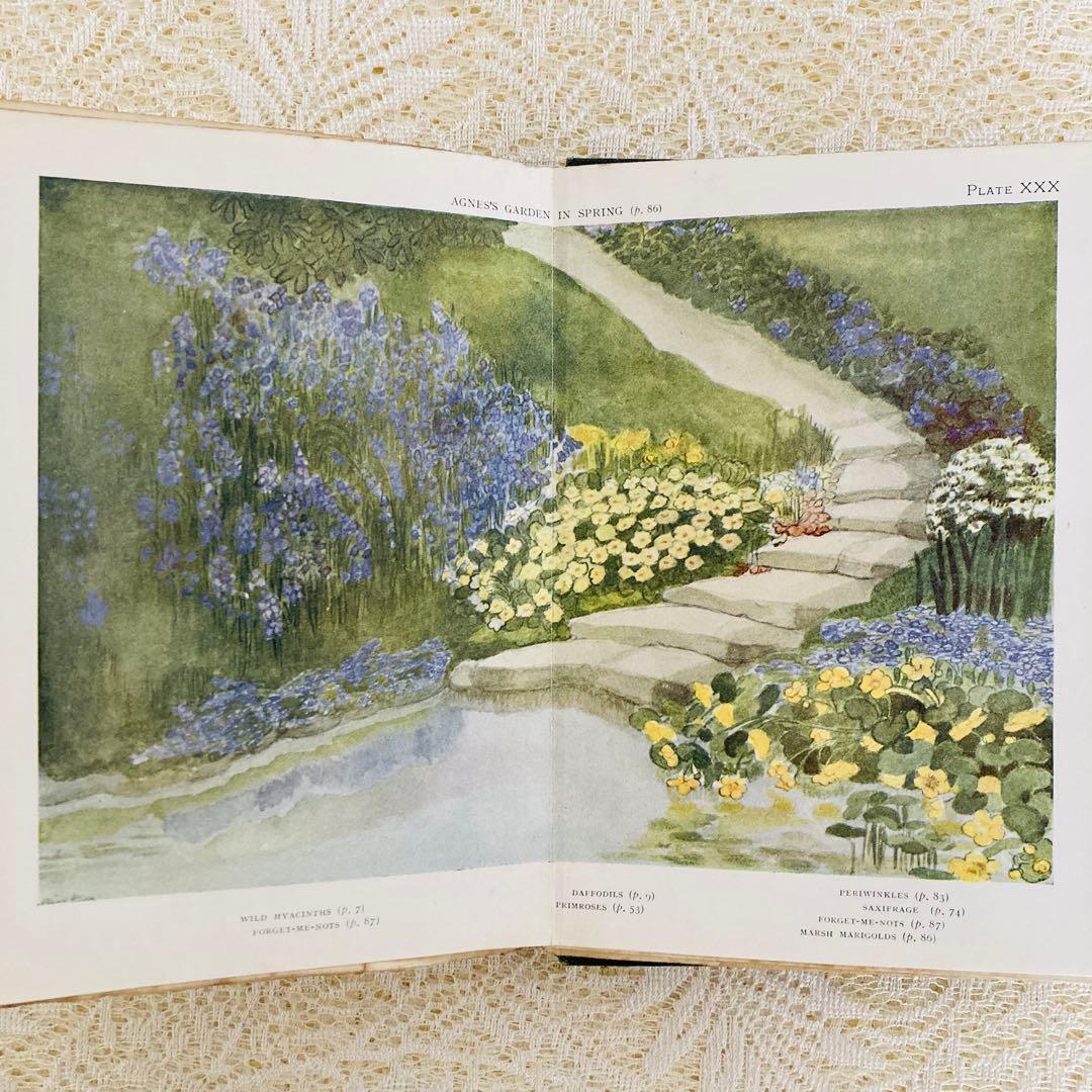 洋書　古書　希少　イギリスのアンティーク植物図鑑　色鮮やかで美しいカラー図版♡