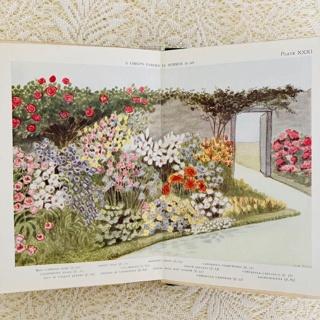 洋書　古書　希少　イギリスのアンティーク植物図鑑　色鮮やかで美しいカラー図版♡