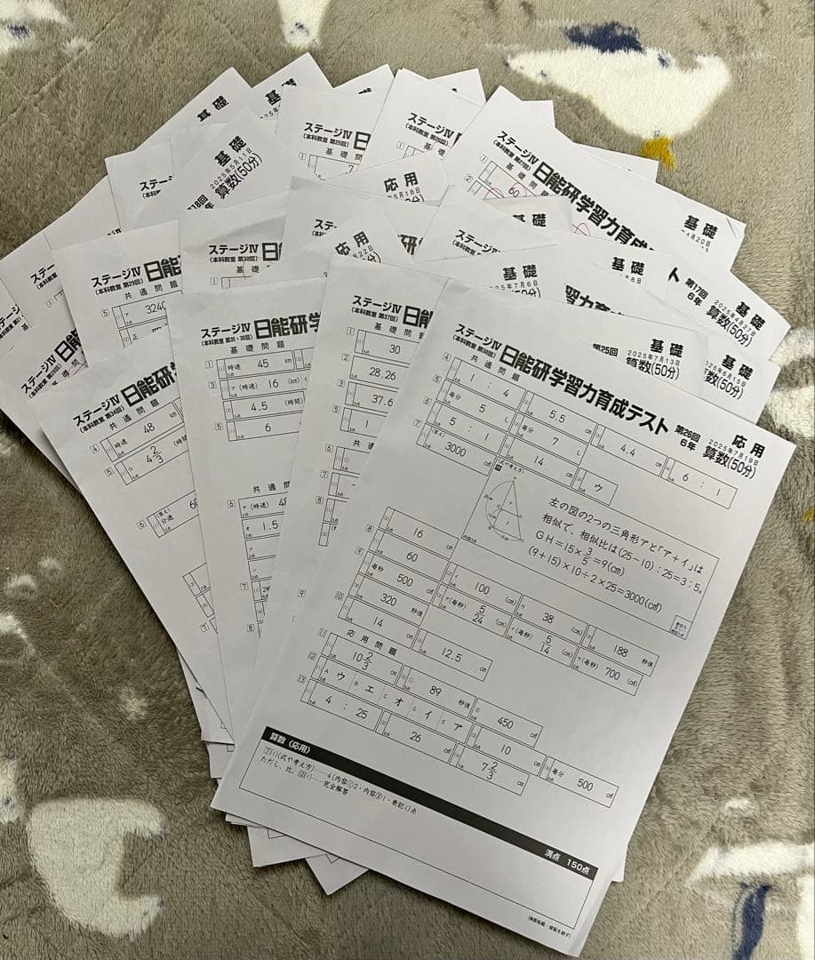 2025年度　最新　日能研　６年生　育成テスト　講習テスト他