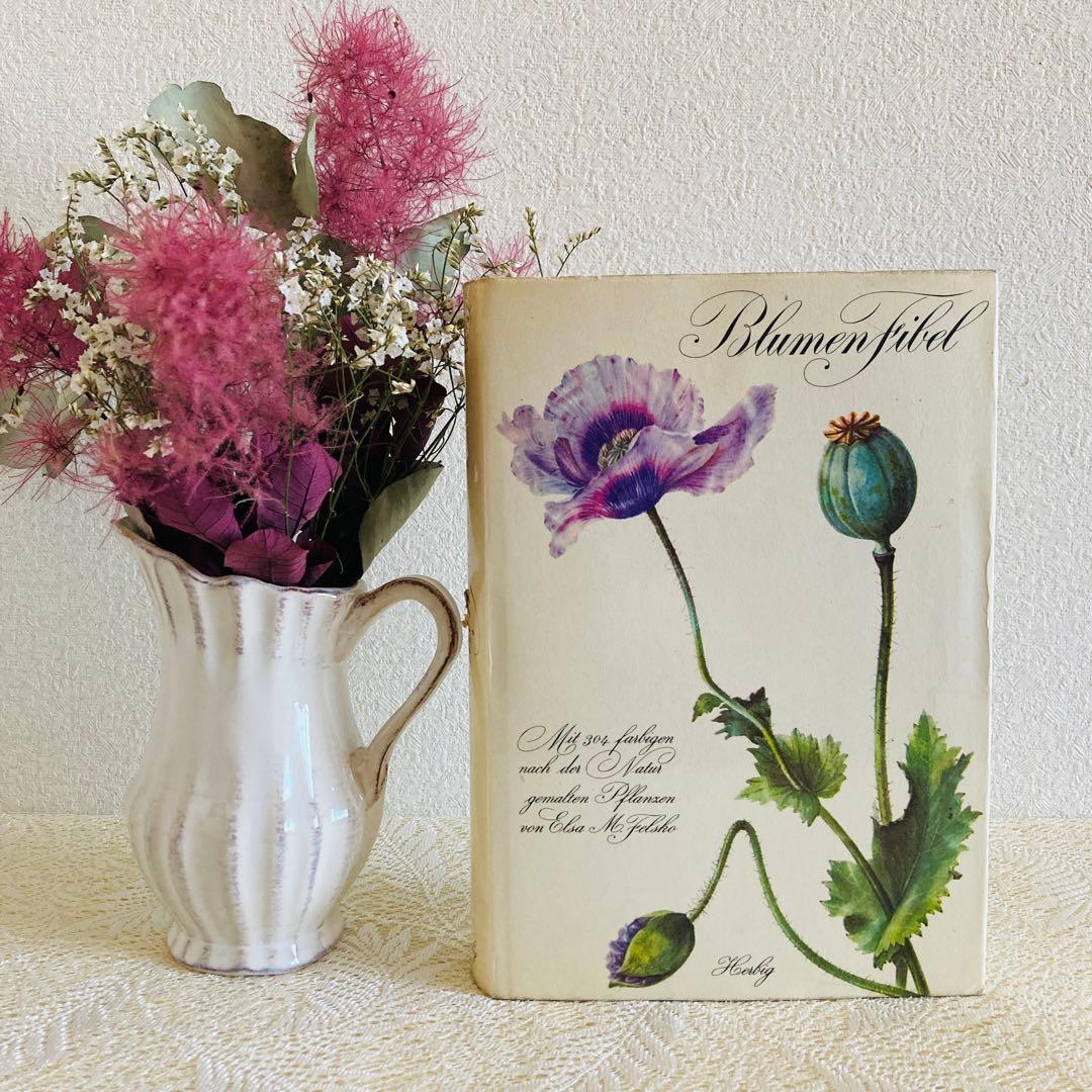 洋書古書　希少　ヴィンテージ植物図鑑　繊細で美しい植物画304点　画集　ドイツ語