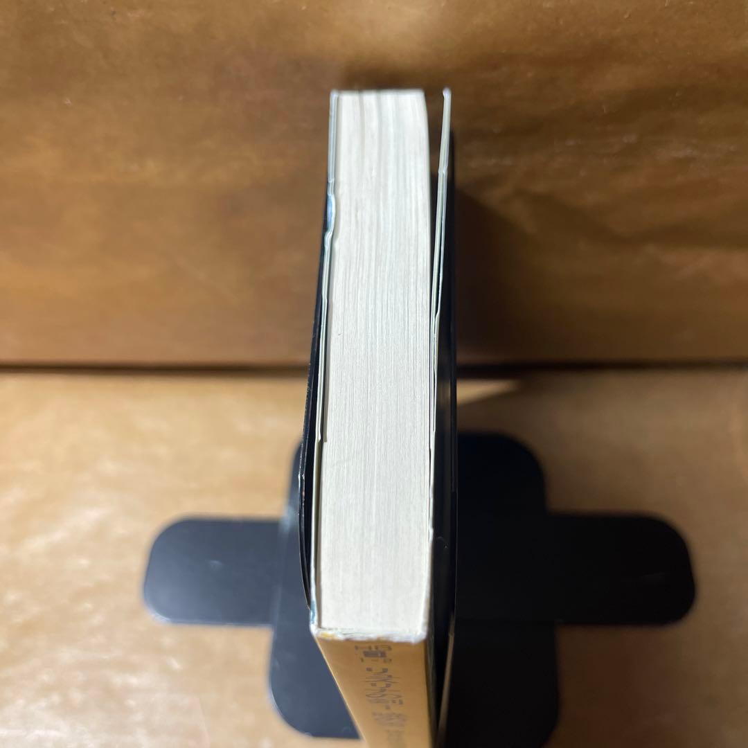 [3689] リュスリナの剣 1 (暁の書) /神月 摩由璃