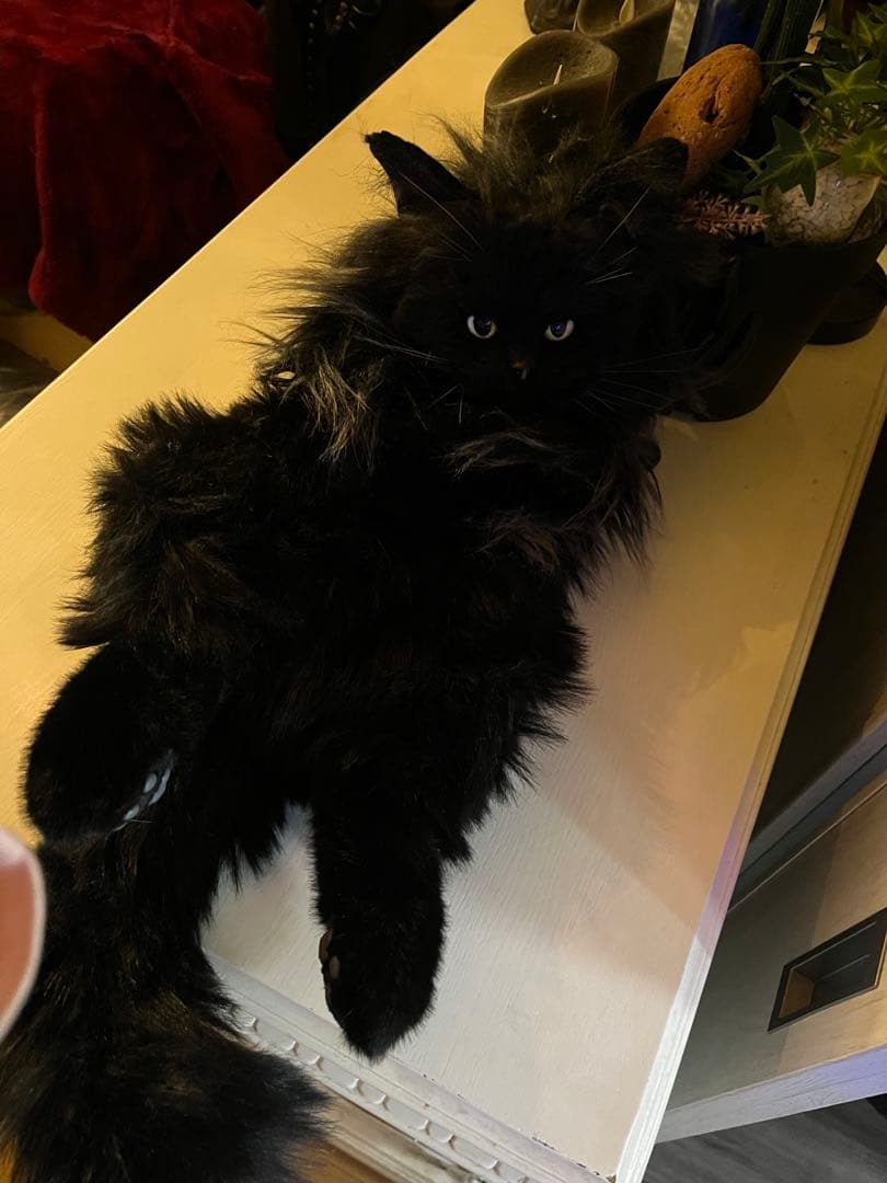 黒猫 ぬいぐるみ 等身大 リュック