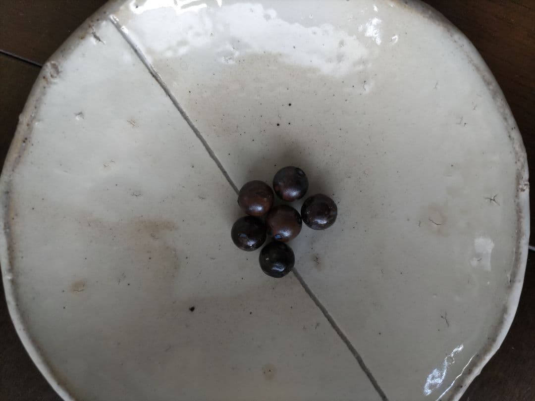 ワールドレップ　アースボール16個