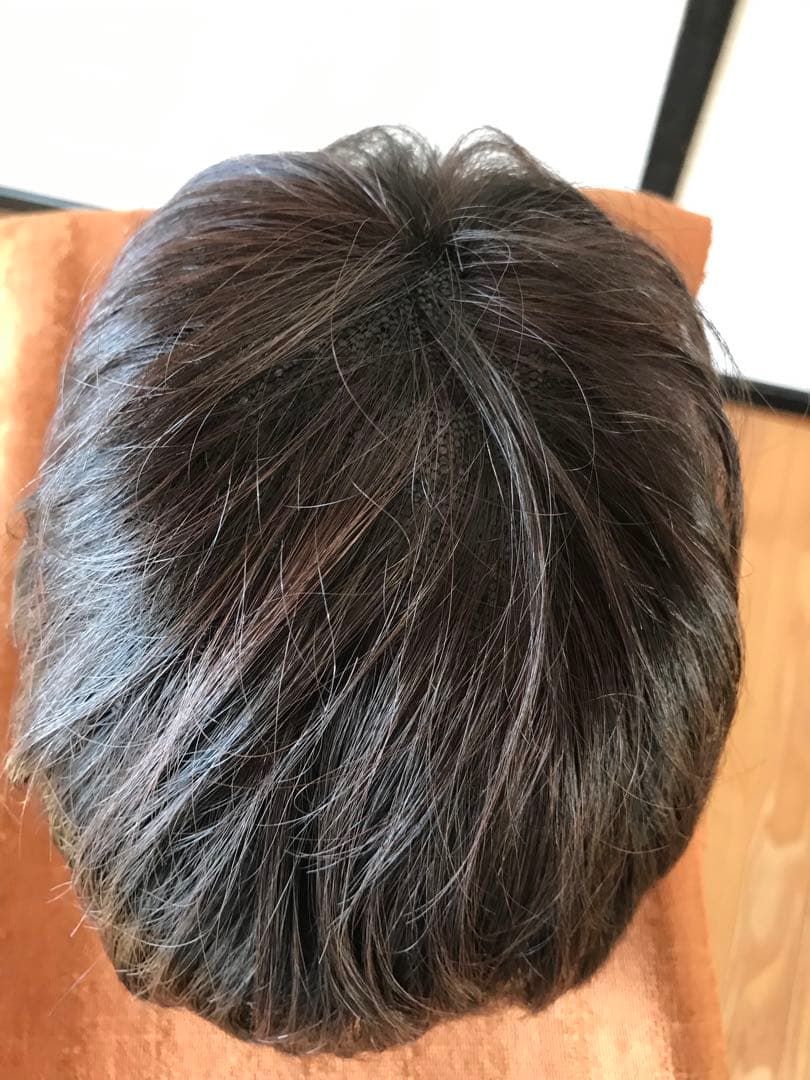 フェザー レオンカウィッグ EX-15 F4モダアクリル人毛