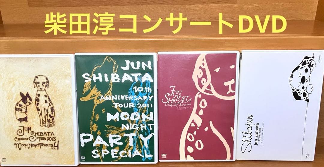 柴田淳　コンサートツアー　DVD 4枚セット