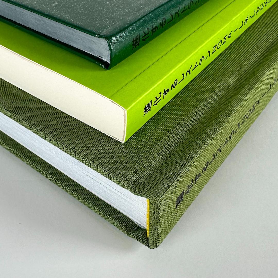 ★美本★進化するレストランNOMA（ノーマ）-日記、レシピ、スナップ写真-★