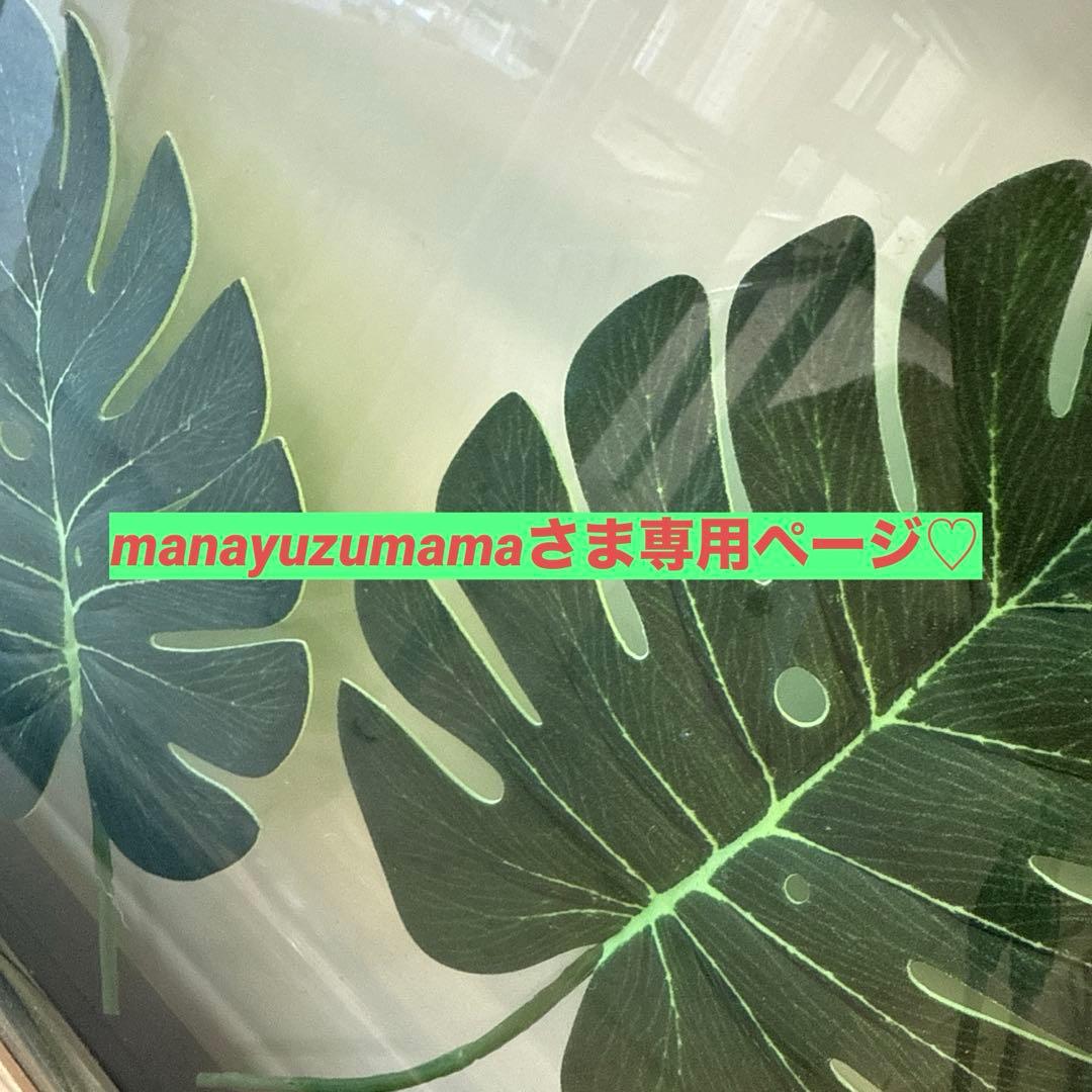 manayuzumamaさま専用ページ♡