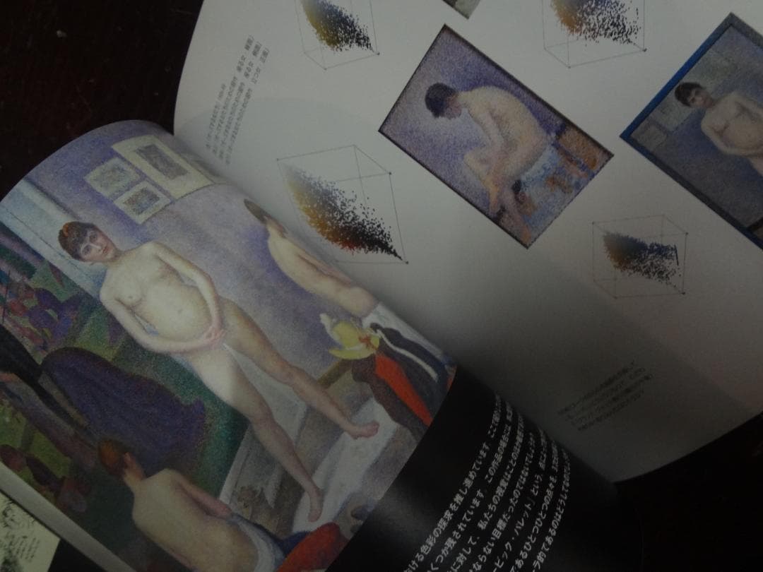 Color as Concept カラー・アズ・コンセプト CDROM付