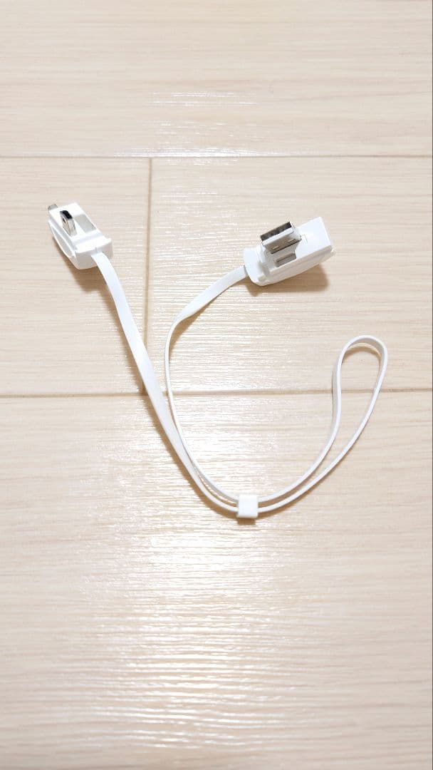 ニンテンドー(任天堂) DSi本体 ＋ソフト2本付き