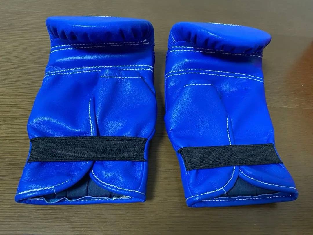 Winning ウイニング ボクシング パンチンググローブ SB-2000