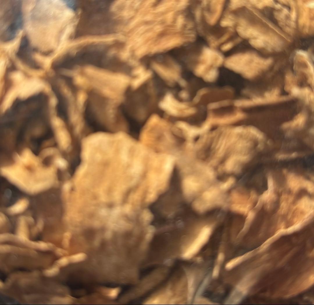 ボアカンガアフリカーナ30g