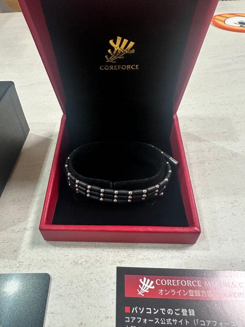 『とっち』さん専用　コアフォース ループ SUS CFL 70