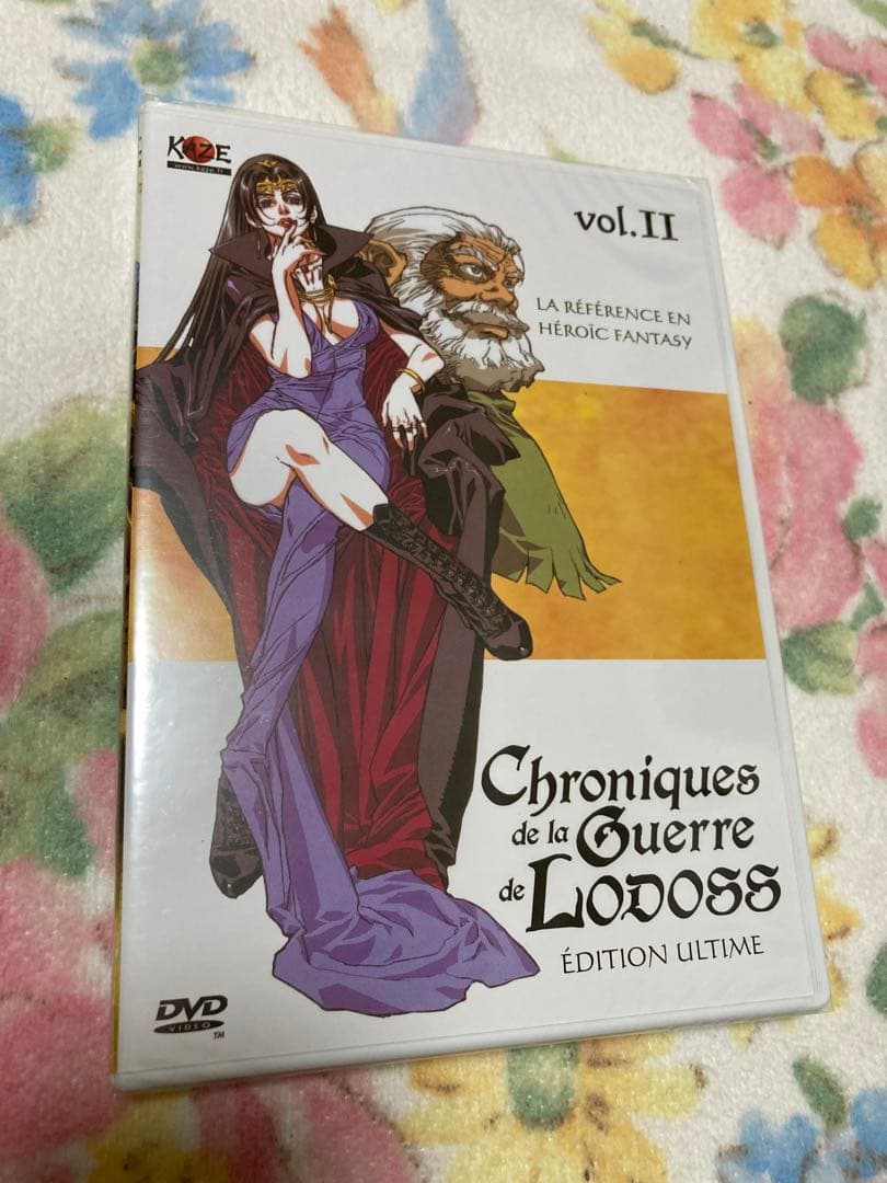 値下げ★ロードス島戦記★海外版★DVD★中古、2つ未開封