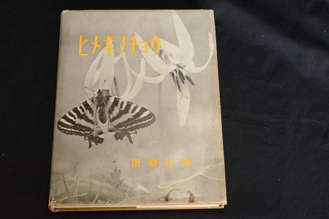 【ヒメギフチョウ】田淵行男　1957年初版　　★★大幅に値下げしました