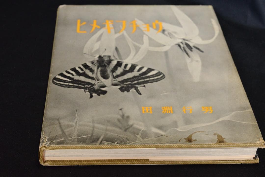 【ヒメギフチョウ】田淵行男　1957年初版　　★★大幅に値下げしました