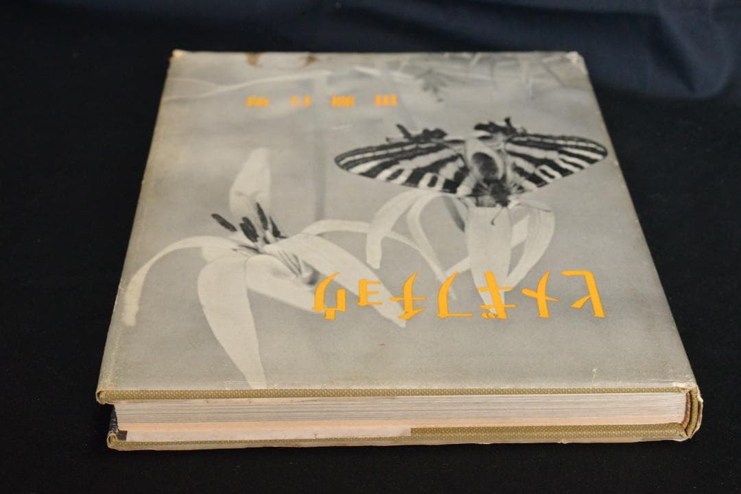 【ヒメギフチョウ】田淵行男　1957年初版　　★★大幅に値下げしました