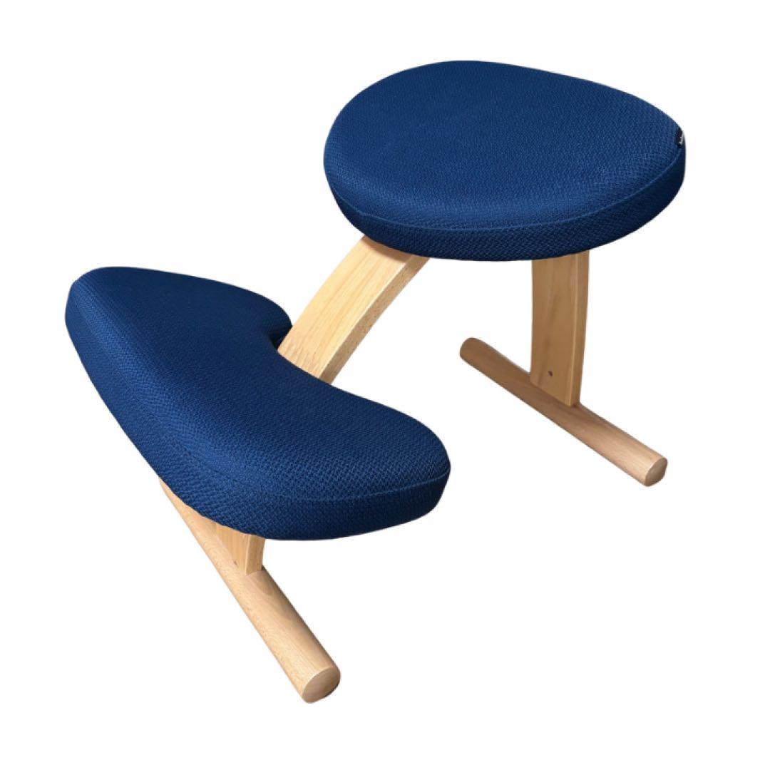 サカモトハウス　バランスラボ バランスチェア イージー 姿勢矯正イス ネイビー