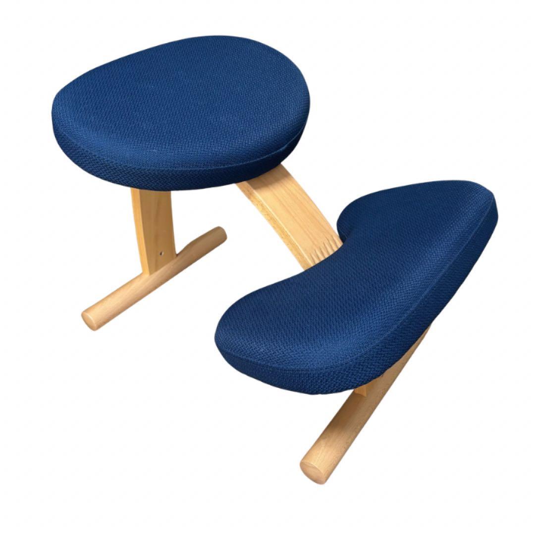 サカモトハウス　バランスラボ バランスチェア イージー 姿勢矯正イス ネイビー