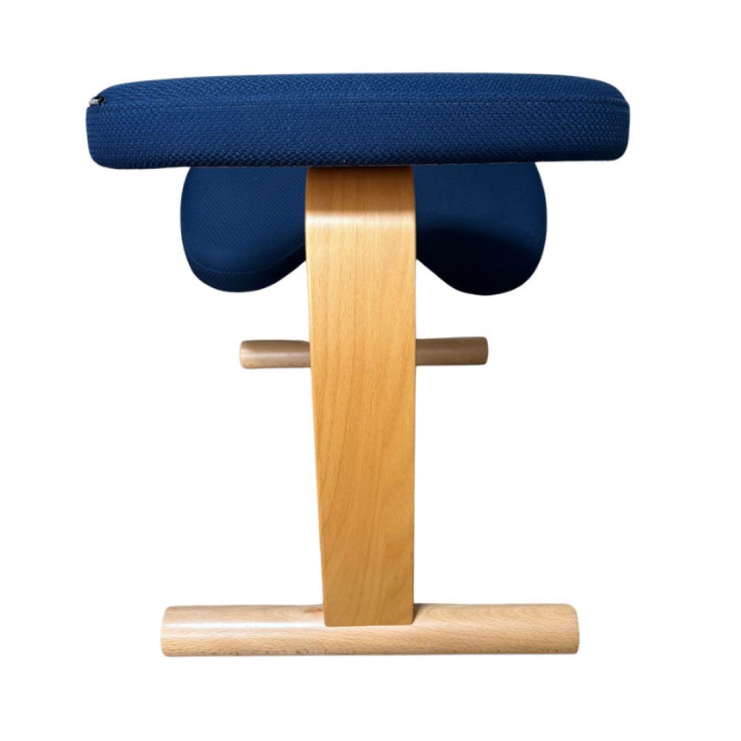 サカモトハウス　バランスラボ バランスチェア イージー 姿勢矯正イス ネイビー