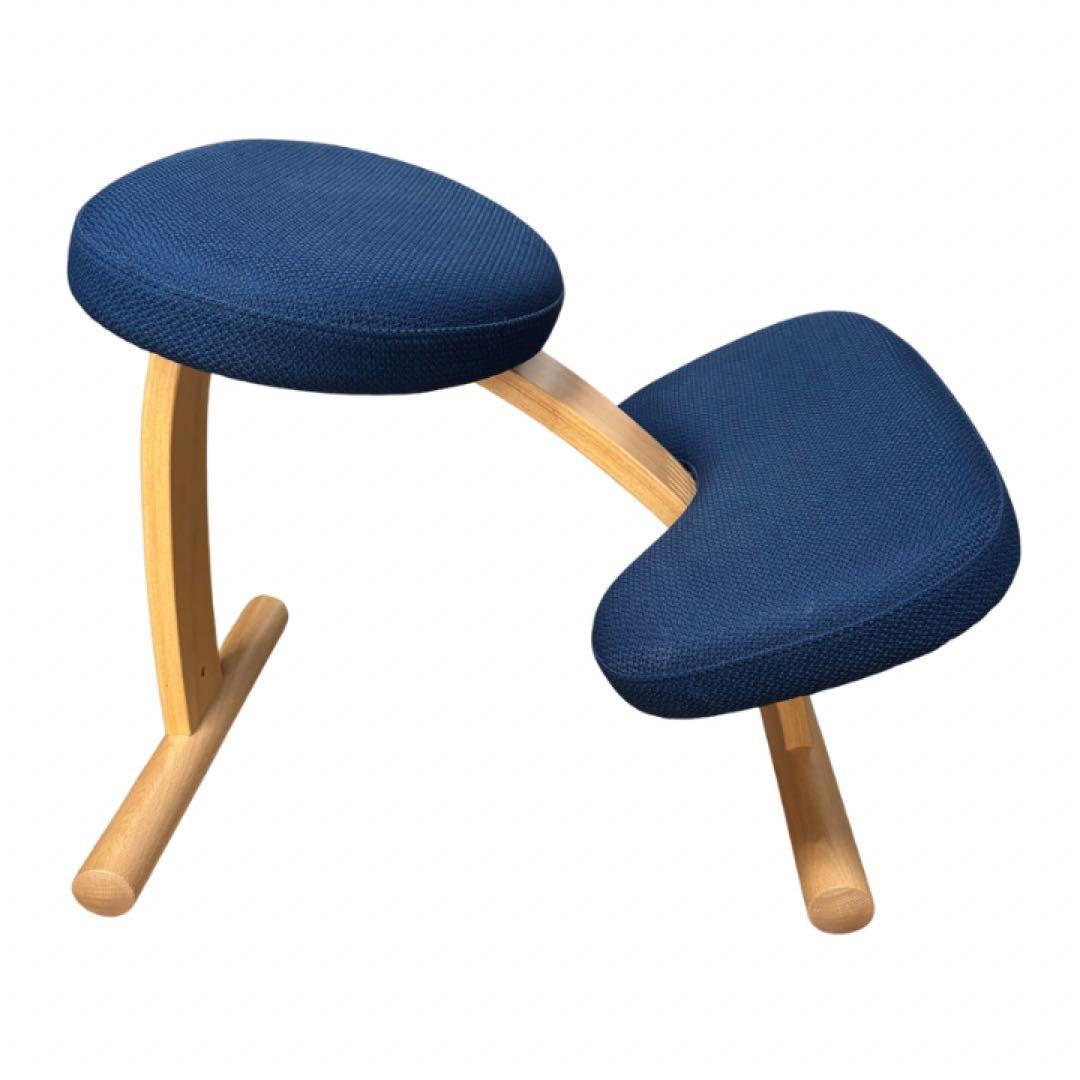 サカモトハウス　バランスラボ バランスチェア イージー 姿勢矯正イス ネイビー