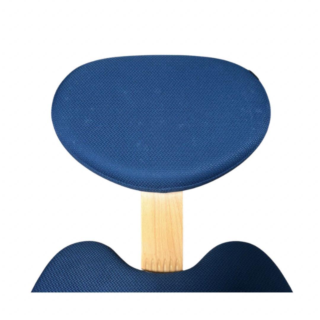 サカモトハウス　バランスラボ バランスチェア イージー 姿勢矯正イス ネイビー