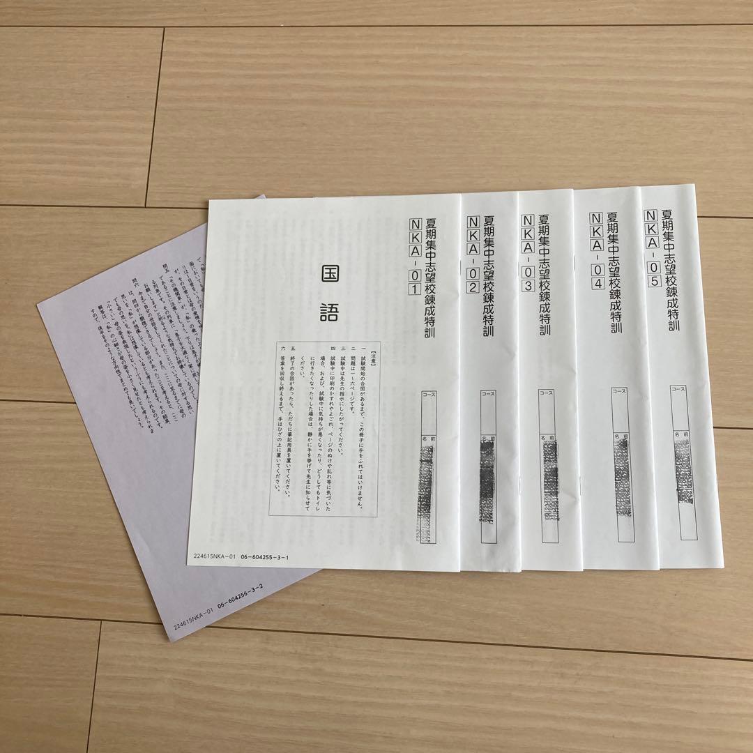 2025年組　サピックス　開成　夏期　志望校別