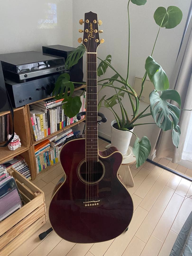 Takamine TDP500SP-WR エレアコ 純正ソフトケース付