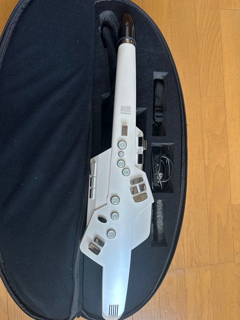 AE-10 ローランド エアロフォン ガイド本付