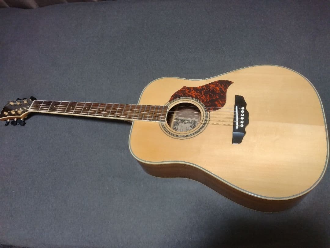 ギター Crescent CA-D-50NL