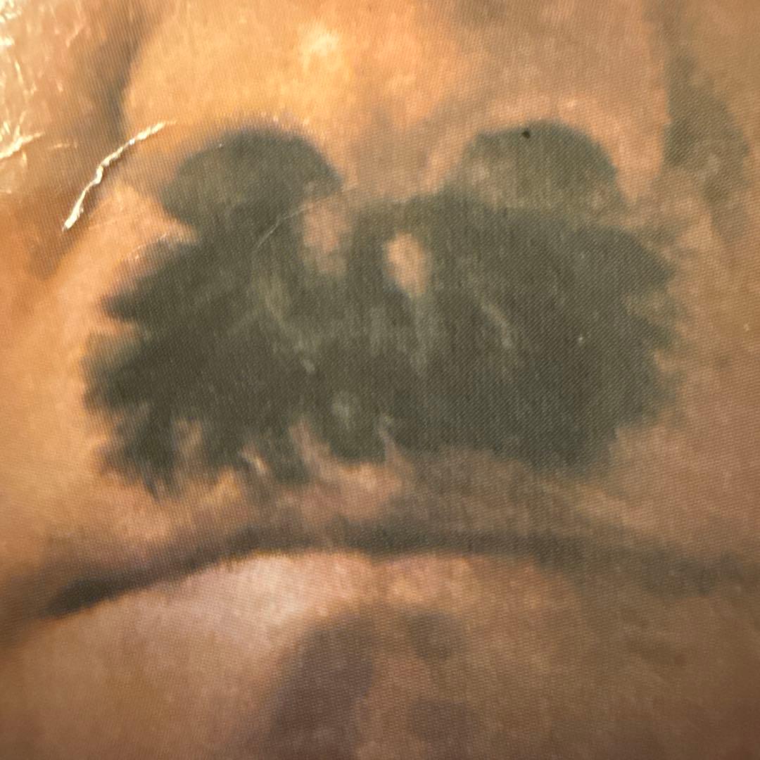 ヒトラー　JOACHIM FEST WW2 Penguin UK 英語本