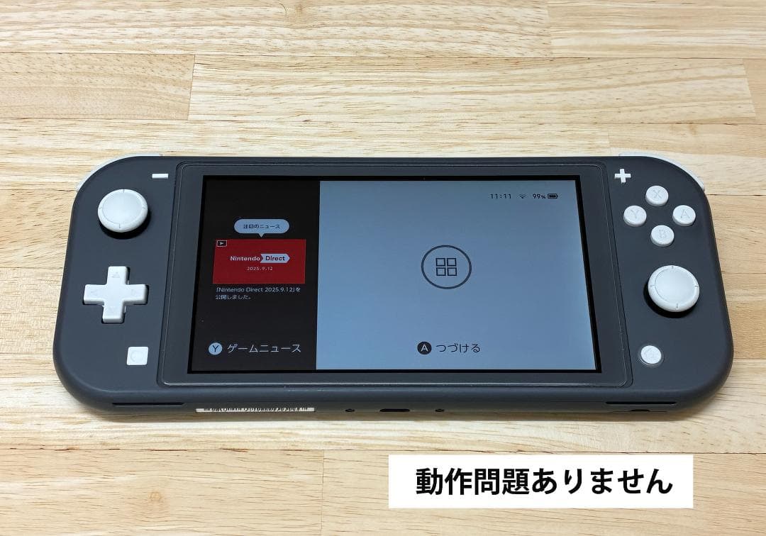 Nintendo Switch Lite グレー【箱・AC有】本体