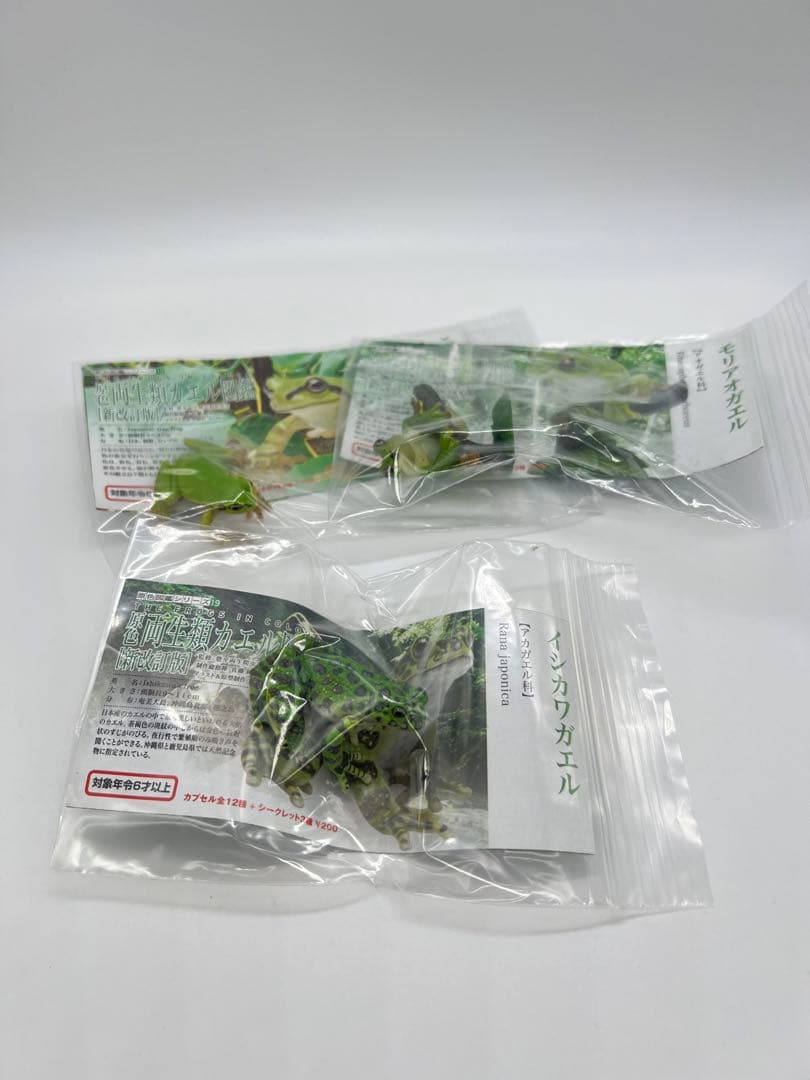 原色両生類カエル図鑑 [新改訂版]