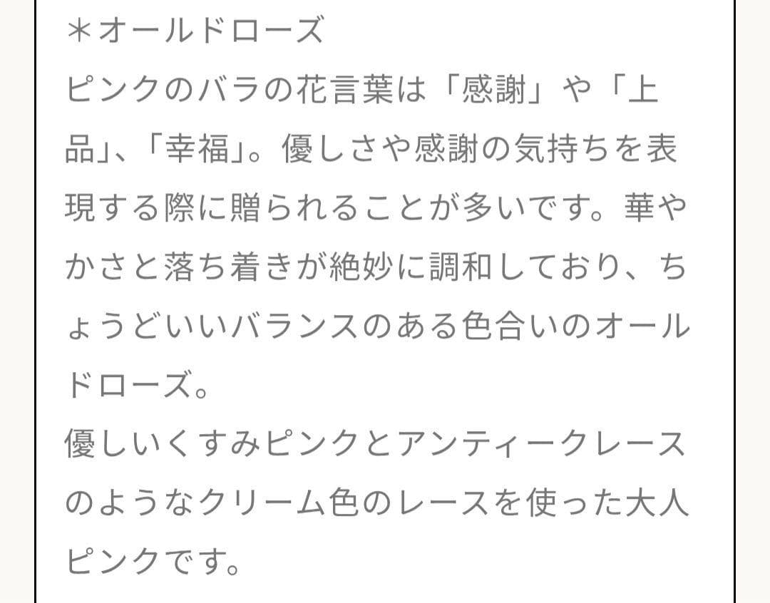 ENCHANTED CORSET 元鈴木さん　コルセット シルフィード