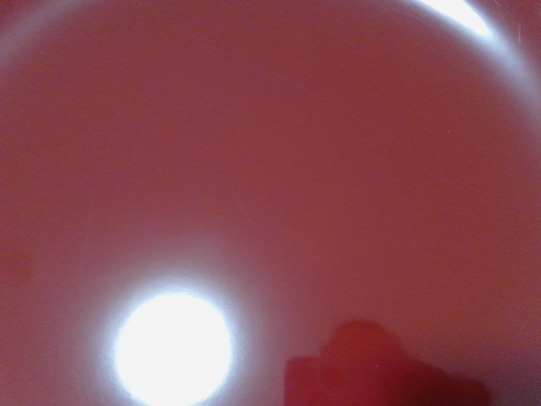 ☆美品☆ こね鉢 直径48cm 1尺6寸 うどん そば 道具 麺打ち 漆器 木製