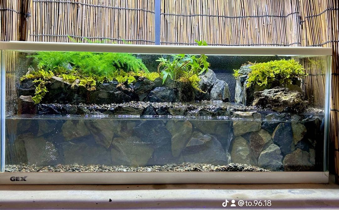 水の流れる滝テラリウム水槽