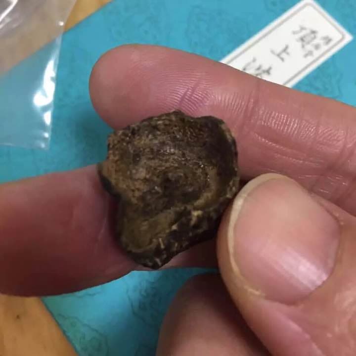 ベトナム 沈水 沈香