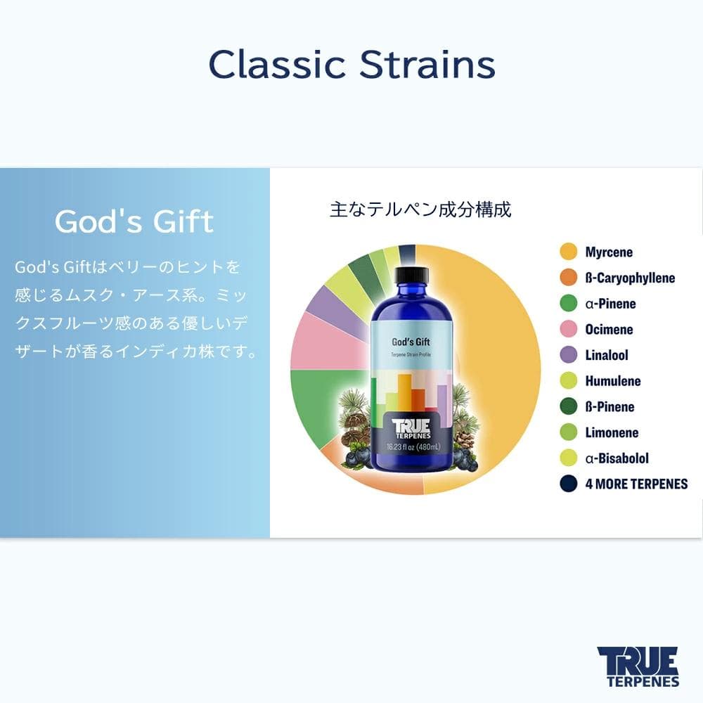 TRUE テルペン 510 CBD CBN CBG 10ml ゴッズギフト