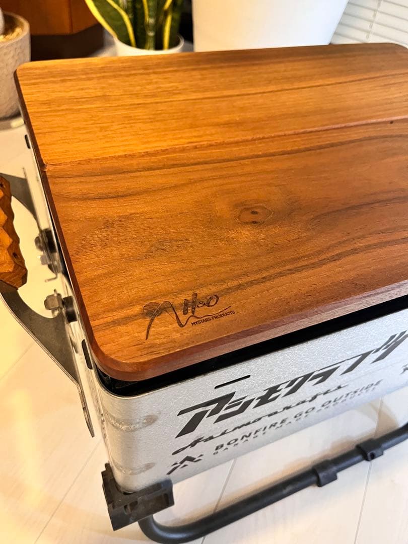 H&O ウィングトップ25 wingtop ウォールナットシェルコン25セット！