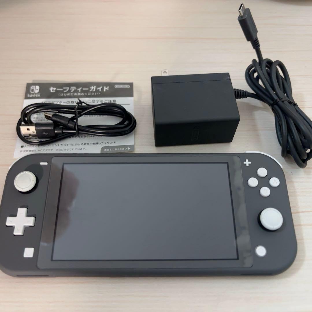 Switchライト グレー