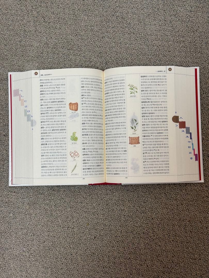 韓国語辞典 보리 국어사전