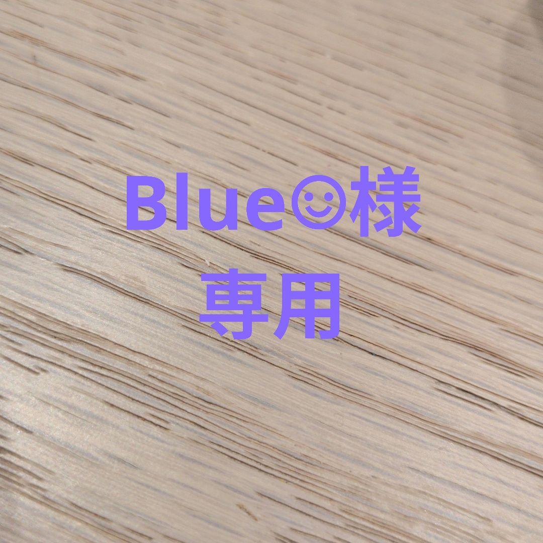 語学・辞書・学習参考書 Blue