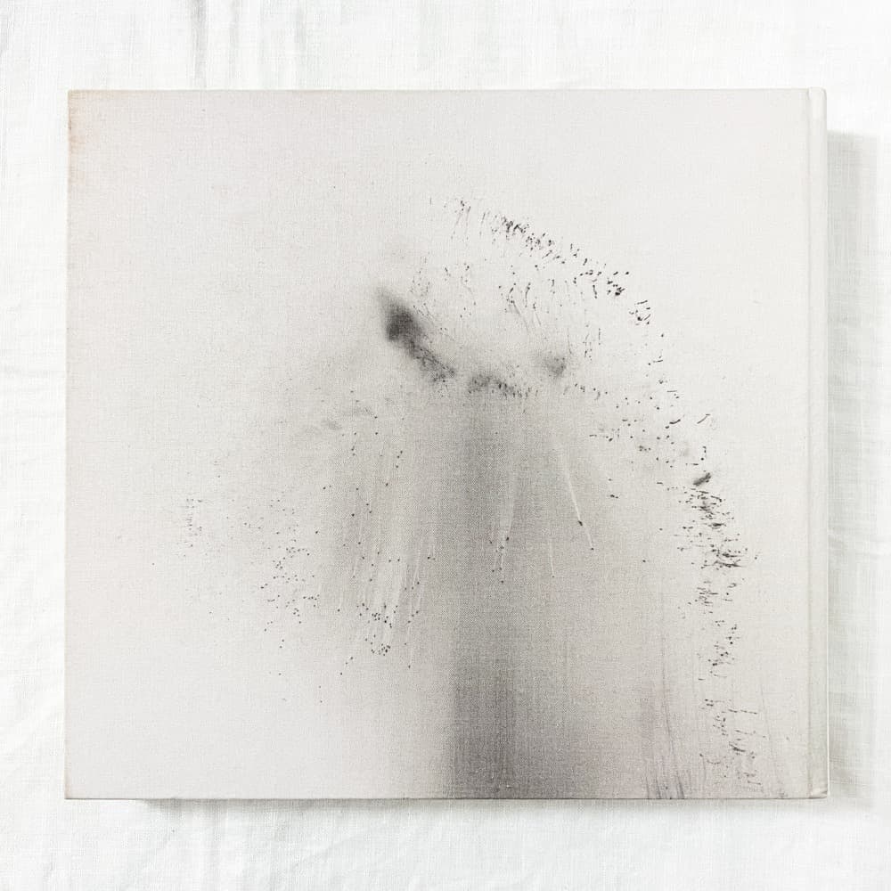 ヴォルフガング・ティルマンス, Abstract Pictures 作品集.