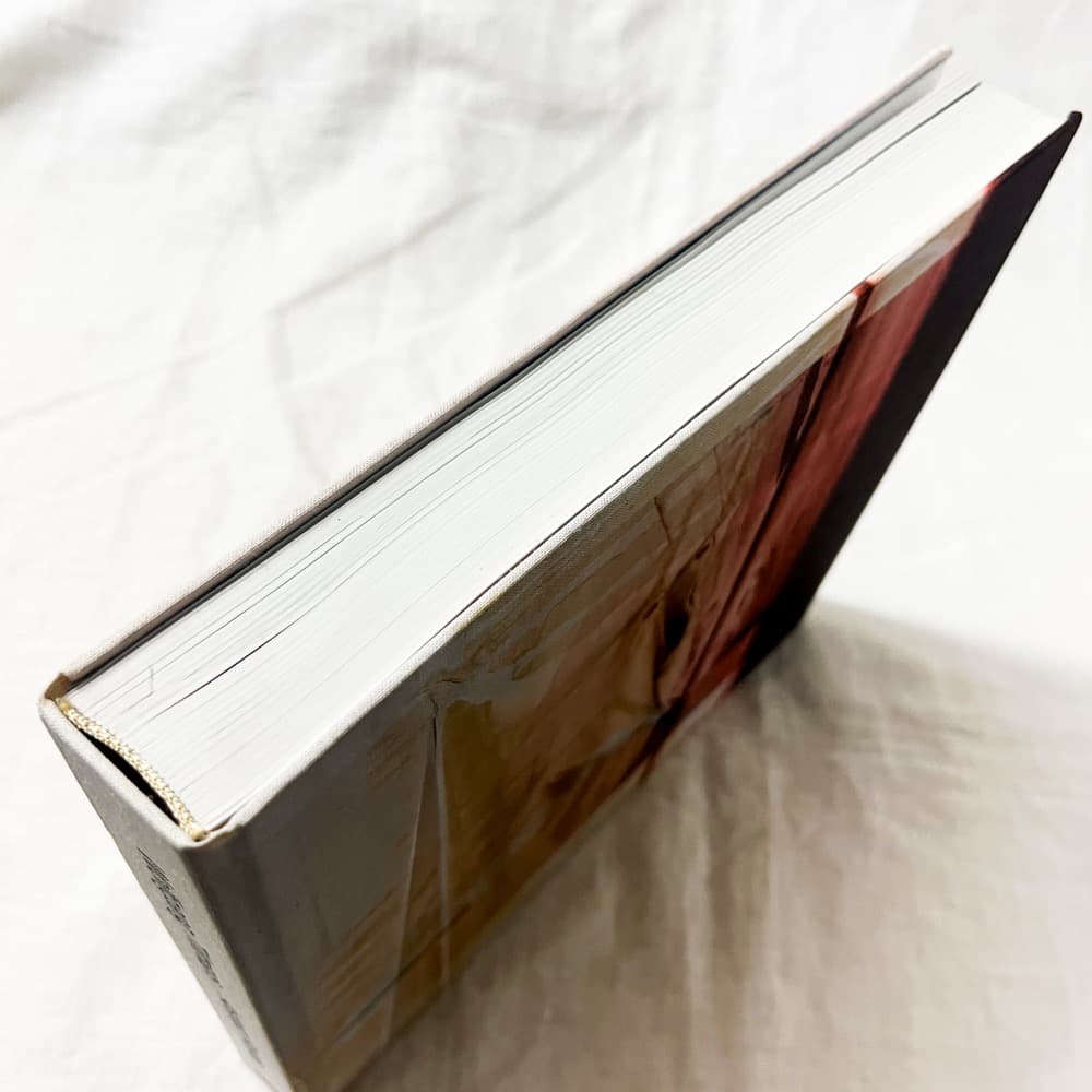 ヴォルフガング・ティルマンス, Abstract Pictures 作品集.