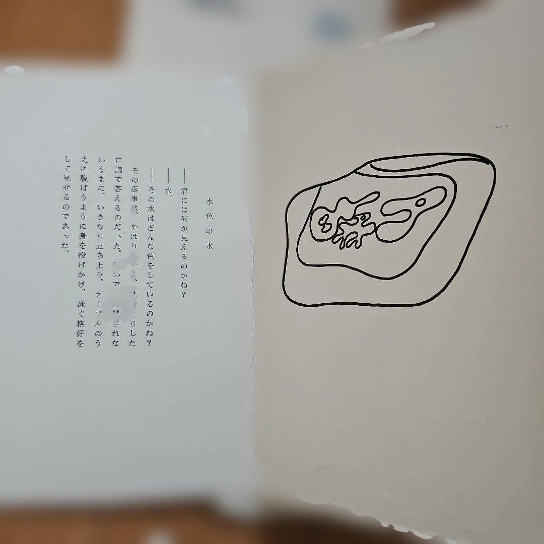 コレクション[オパール]20輯揃い 限定175部 詩と絵画コレクション 夫婦箱